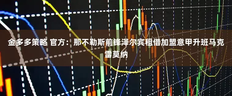 金多多策略 官方：那不勒斯前锋泽尔宾租借加盟意甲升班马克雷莫纳