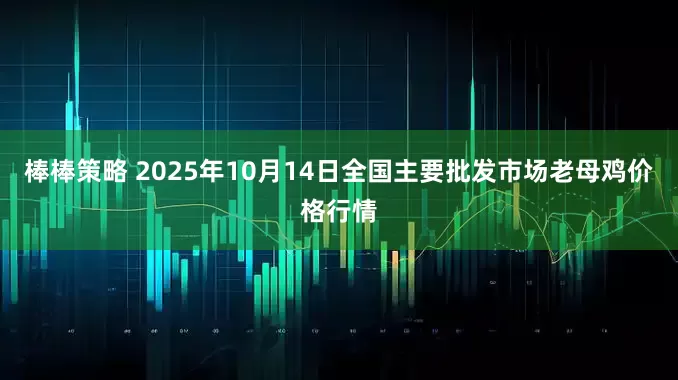 棒棒策略 2025年10月14日全国主要批发市场老母鸡价格行情